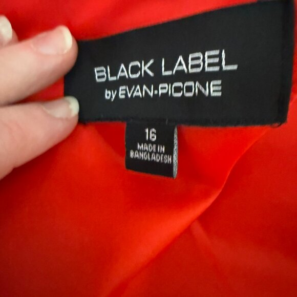 Evan-Picone Black Label Red Cocktail Dress | Elegant Silhouette - Picture 5 of 6